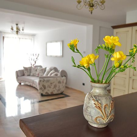 San Grecu House Leilighet Făgăraş Eksteriør bilde